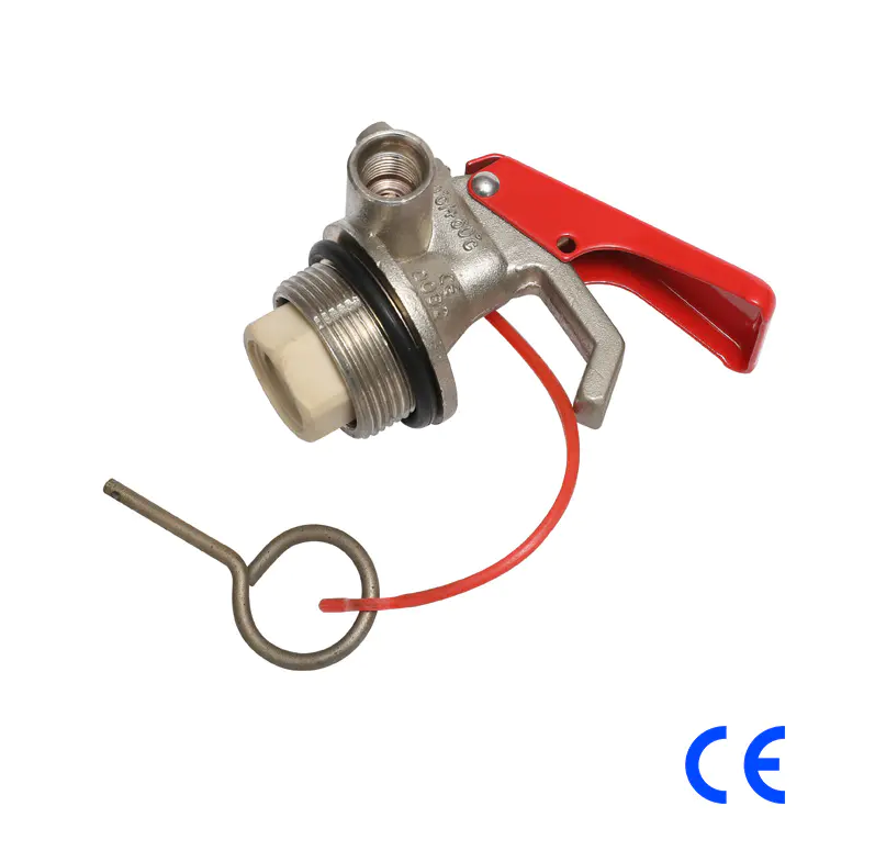 Quel est le rôle de l'anneau d'étanchéité dans la valve sèche? Comment assure-t-il le scellement efficace de la valve?